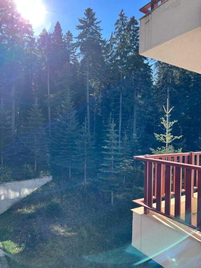 Arboro Flora Residence Studio Borovets Luaran gambar