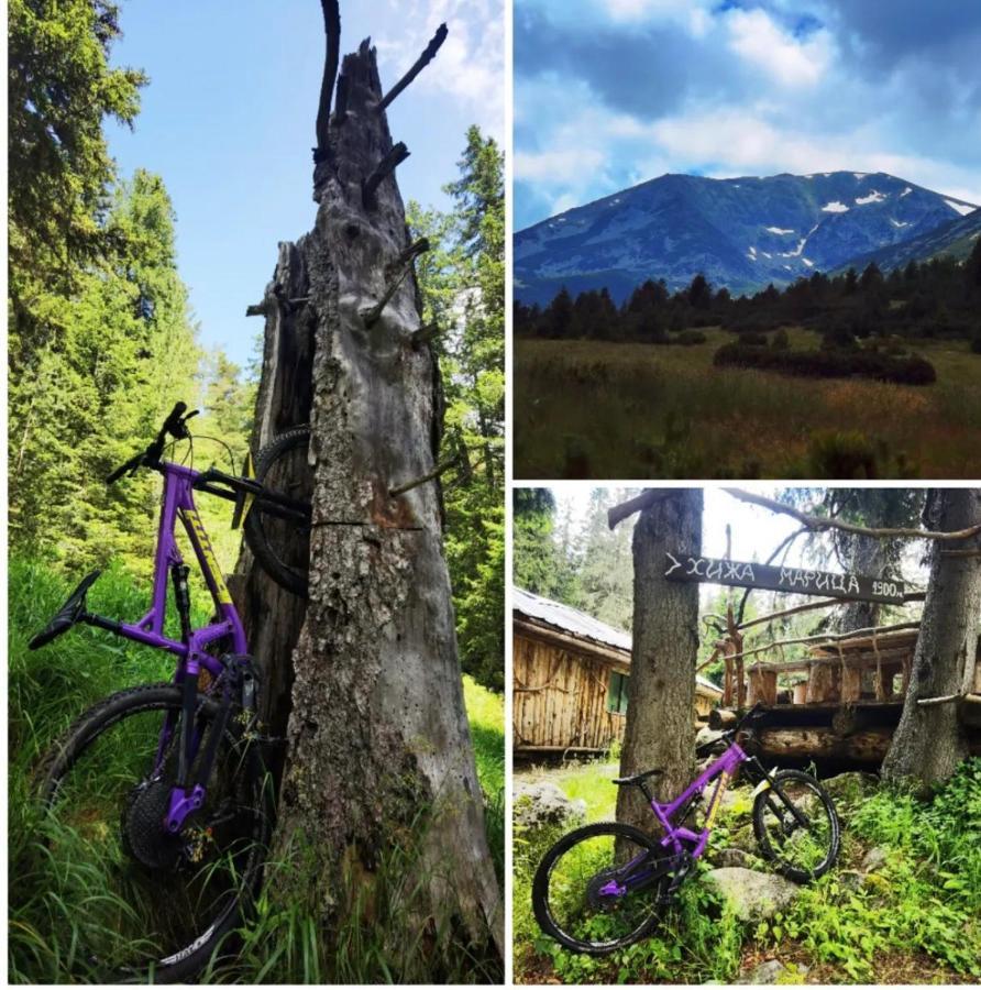 Arboro Flora Residence Studio Borovets Luaran gambar