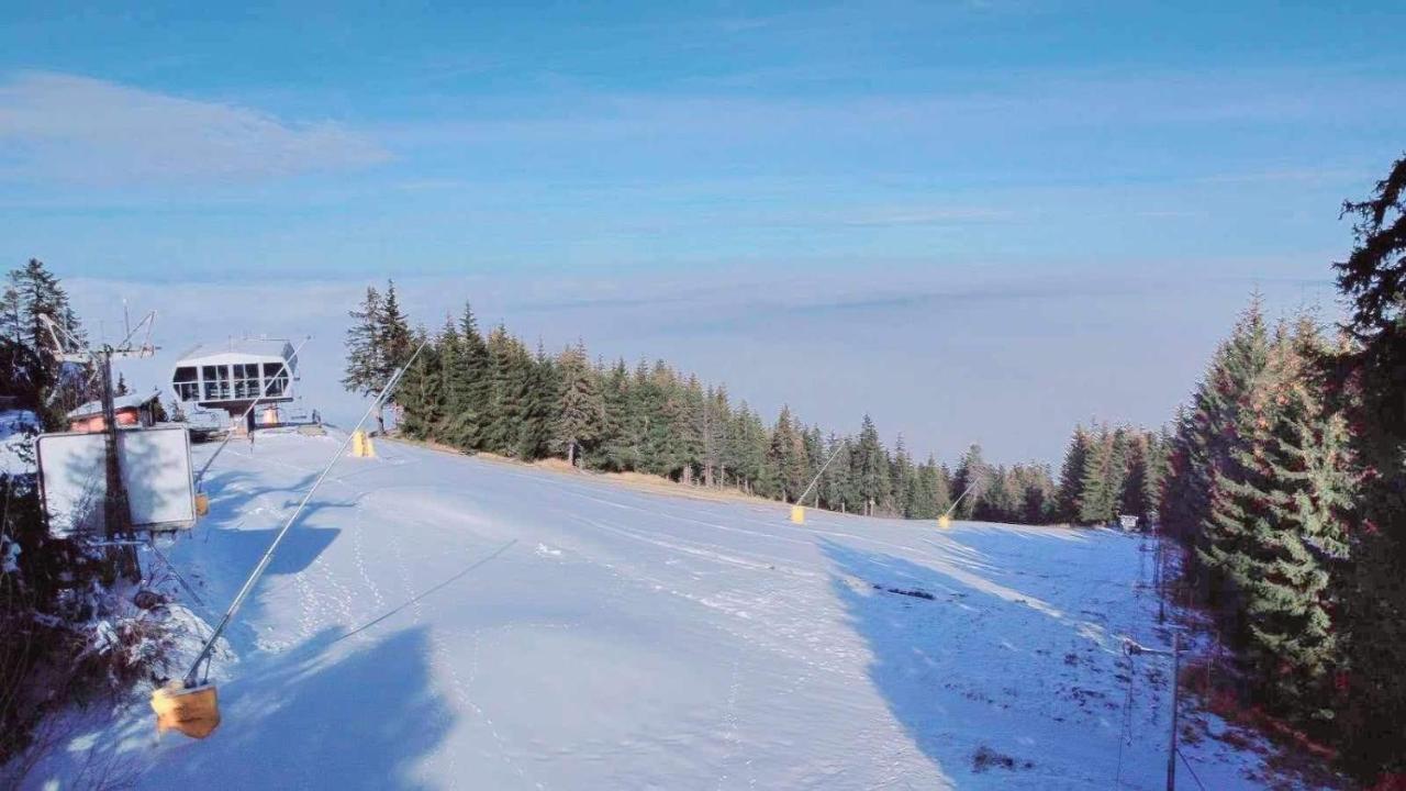 Arboro Flora Residence Studio Borovets Luaran gambar