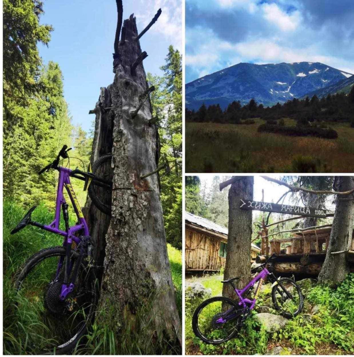 Arboro Flora Residence Studio Borovets Luaran gambar
