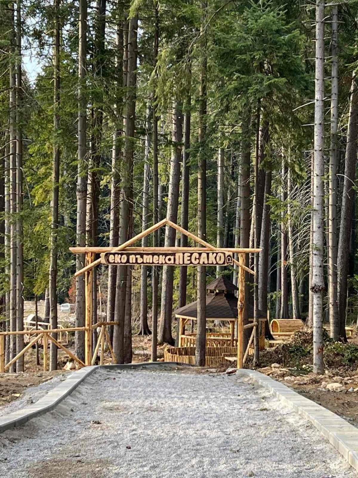 Arboro Flora Residence Studio Borovets Luaran gambar