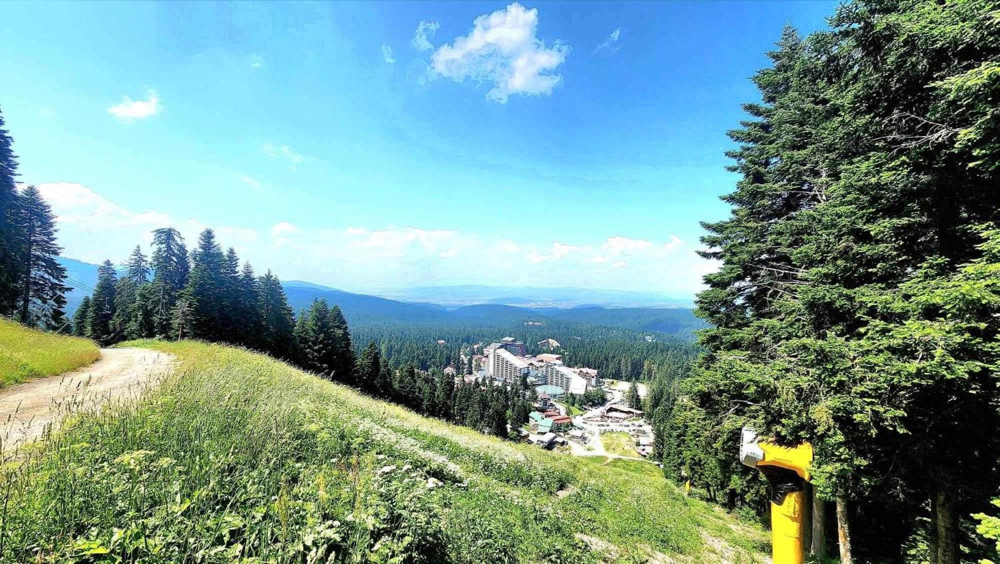Arboro Flora Residence Studio Borovets Luaran gambar